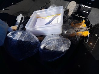 Miscellaneous Agrisem <pas de famille>