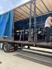 No-till seed drill Agrisem Strip-Cat II porté Fixe