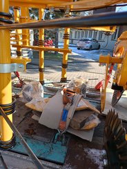 Miscellaneous Agrisem <pas de famille>