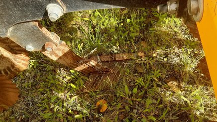 Stubble cultivator Agrisem Maximulch Série 3 porté Fixe