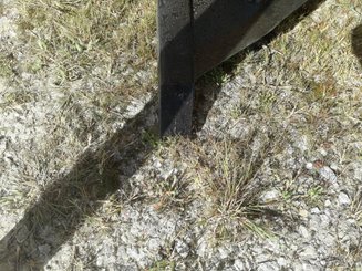 Subsoiler Agrisem Combiplow Platinum Fixe