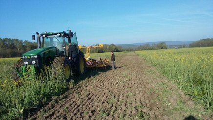 Stubble cultivator Agrisem Maximulch Série 3 traîné Repliable