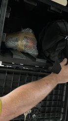 Miscellaneous Agrisem <pas de famille>